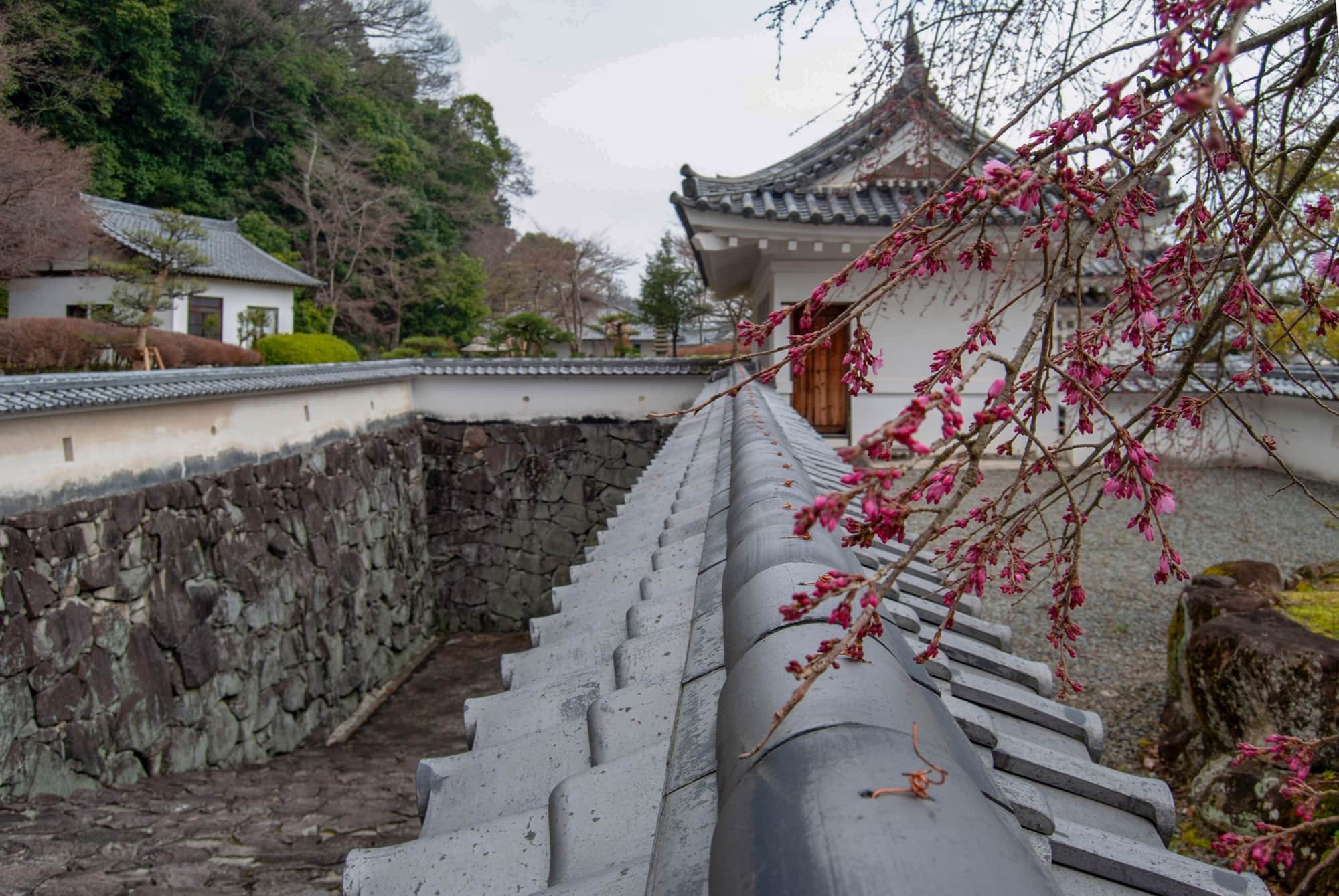 🏯 다쓰노 성(다쓰노조) 이미지 4